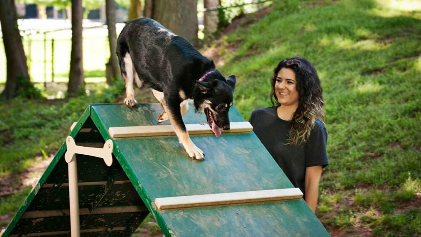 Woman with her dog on BarkPark product