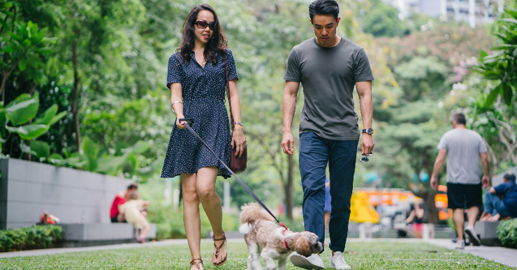 couple walking dog through park in city