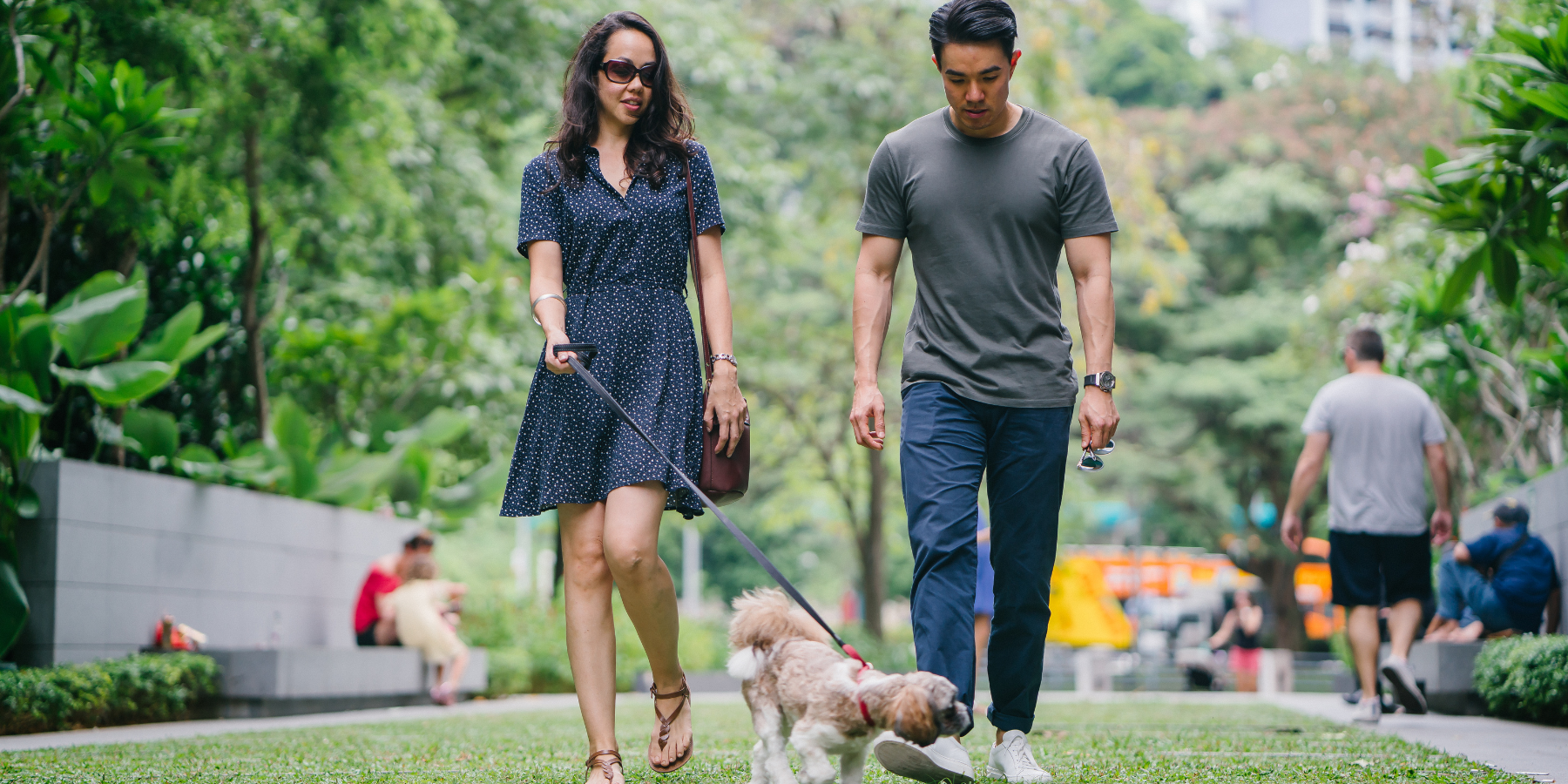 Couple Walk in Park with Dog