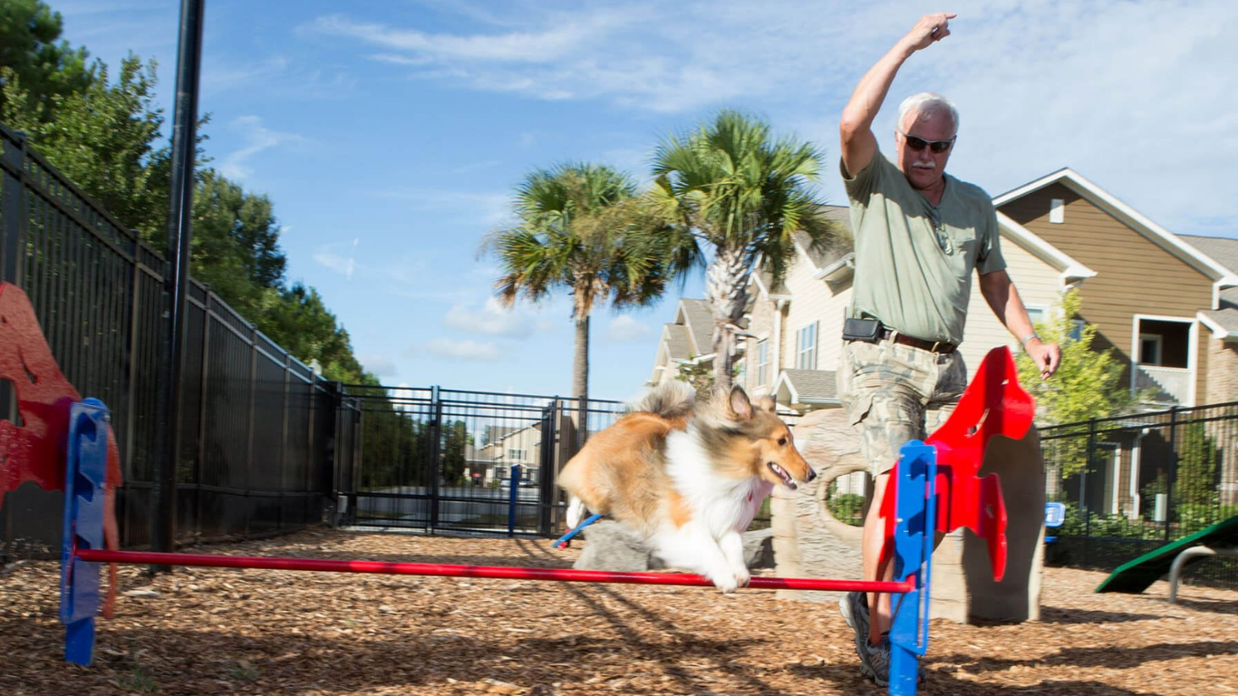 Man with his dog training on BarkPark products