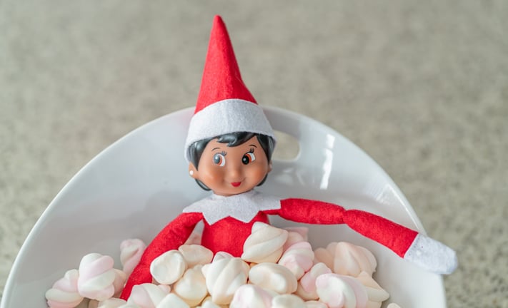 Copy of Wacky World Newsletter