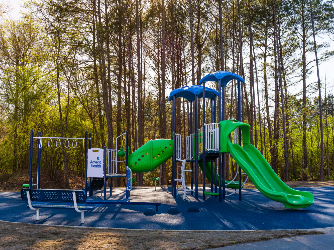 a blue and green playground in the forest 