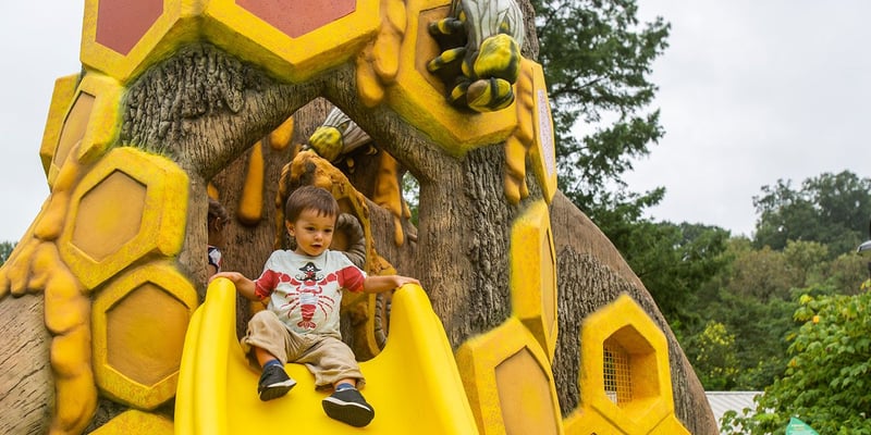 Bee Playground