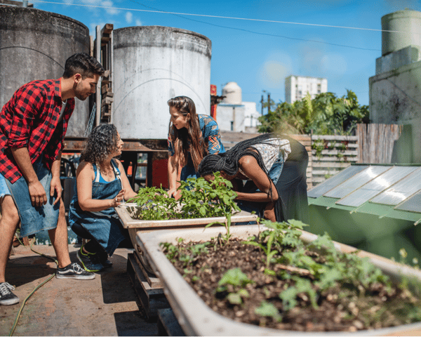 Volunteers work in a community garden as part of a CSR program
