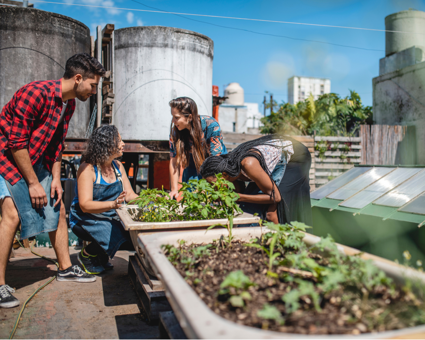 Community Garden