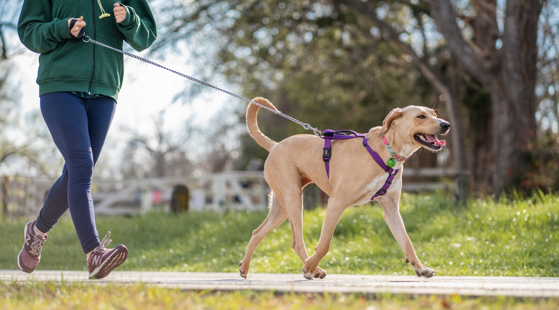 Woman walking dog on trail at park